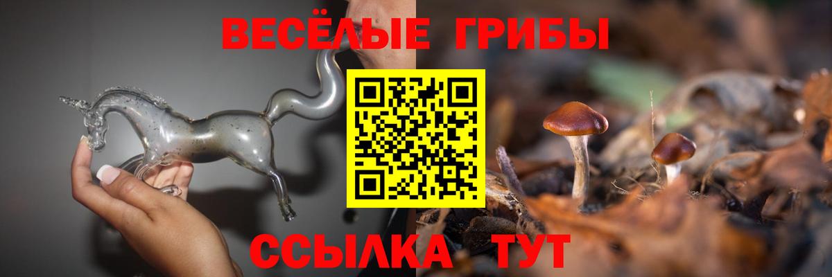 Псилоцибиновые грибы мухоморы  Галлюциногенные грибы Psilocybine cubensis  Арзамас  Вход с VPN 