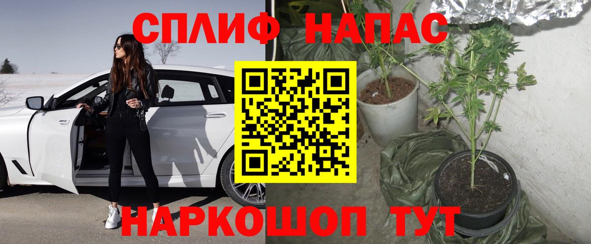 Бошки марихуана VHQ  Марихуана Amnesia  Вход с VPN  Каннабис сатива  Арзамас 